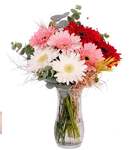 Renkli Gerbera Vazosu Renkli Gerbera Vazosu