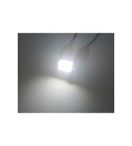 FEMEX Premium 4014 Chipset 21smd Sofit Led Ampul 36mm