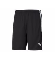 Puma Teamliga  Training Shorts Erkek Futbol Maç Şortu 65724903 Siyah