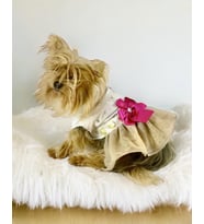 Creamy Fuchia Tütülü Köpek Elbisesi,  Kıyafeti Tutu (Pembe - Beyaz - Krem)