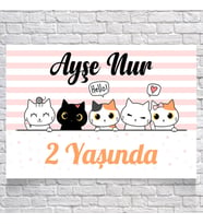 Kedi Teamlı Doğum Günü Afişi 35X50 cm