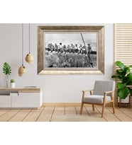 Gümüş Çerçeveli Tablo nb608