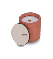 Cereus Inytium Menawan Ud Ağacı Kokulu Soya Mum (210 Gr)