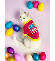 Annelere Hediye, Hediye Paketli, I Love Mom Pink, Oval Yaka Tişört Kedi Kıyafeti,Elbisesi Anneler Günü, Anne