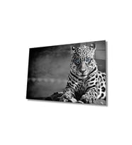 Miyrem Glasses Collection -A1^#  Çita Hayvan Portresi Cam TabloCam Tablo (Çok Renkli)