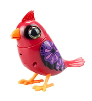 Digibirds Tekli Paket Seri 1 - Model 4