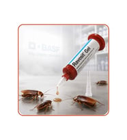 Ravosit Gel Hamamböceği Kaloriferböceği Jel Yem 30 Gram