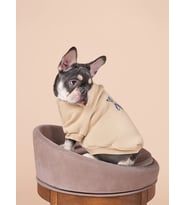 Balloon Köpek Sweatshirt Küçük Ve Orta Irk Köpekler İçin 0-15kg (Pou Series) (Bej)
