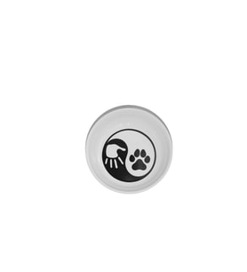 Raccoon Eco006 Japanese Seramik Mama Ve Su Kabı 250ml