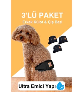 Erkek köpekler için çiş bezi & erkek köpek külot renkleri (Siyah)