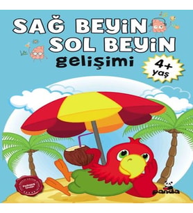 Sağ Beyin-Sol Beyin Gelişimi 4+ Yaş