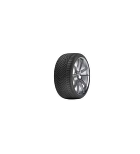225/50R17 98V XL ALL SEASON RIKEN (M25) #