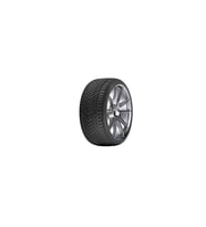 225/50R17 98V XL ALL SEASON RIKEN (M25) #