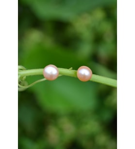 STONEAGE Pembe İnci Doğal Taş Bayan Küpe