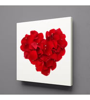 KIRMIZI GÜL YAPRAKLARINDAN KALP KANVAS TABLO 80x80cm (Karışık)