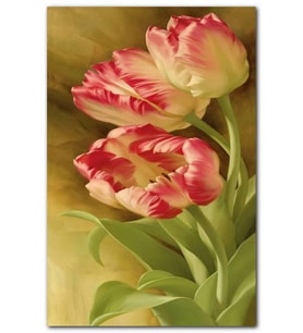 Cakatablo Yeşil Yapraklı Kırmızı Beyaz Tulip Çiçekleri MDF Tablo