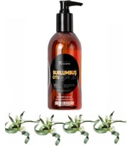 Süper Burlumbuş Otu Bakım Jeli 120 ml x 1 Adet