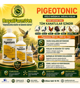 Tüm Kanatlılar, Güvercin ve Kafes Kuşları İçin Avian Pigeotonic 1 Lt. Aminoasit, B Vitaminleri ve El