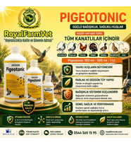 Tüm Kanatlılar, Güvercin ve Kafes Kuşları İçin Avian Pigeotonic 1 Lt. Aminoasit, B Vitaminleri ve El
