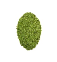 Kabuk Kumu (Öğütülmüş Deniz Kabuğu) 100 GRAM  Yeşil