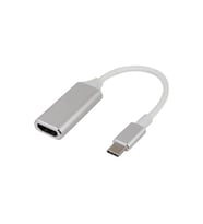 Winex ARSKY Type-C to HDTV 4K HDMI Dönüştürücü Gümüş Beyaz
