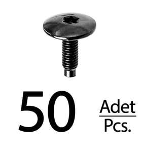 Seat Peugeot Citroen Renault VW BMW 3 E90 için Torx (Tork) Koltuk Kızak Civatası - 50 Adet
