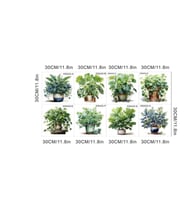 Periboia Tropikal Bitkiler Duvar Stickerı Model A (Karışık)