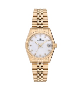 Momentus SW132G-02SG