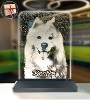 Köpeklere Özel Kişisel Resimli Dikey Dikdörtgen 3d Led Gece Lambası (2005667)