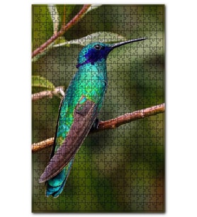 Cakapuzzle Daldaki Mavi Yeşil Sinekkuşu Puzzle Yapboz MDF (Ahşap) (120 Parça)