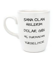 BEYAZ SANA OLAN HİSLERİM DOLAR GİBİ HİÇ DURMADAN YÜKSELİYOR TASARIM KUPA