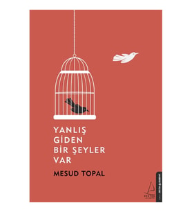 Yanlış Giden Bir Şeyler Var