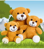 Bubblebear Sevimli Ayıcık Ailesi