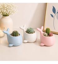 3'lü Balina Figürlü Dekoratif Mini Saksı Seti