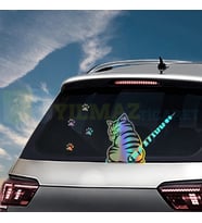 Kedi Kuyruk Pati Hologram Arka Cam Silecek Oto Araba Sticker Etiket Aksesuar Çıkartma Set