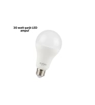 DL-2030 Şarjlı LED Ampul