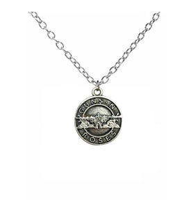 Guns N' Roses Rock Metal Grup Temalı yuvarlak Zincir Kolye – 60 cm Unisex Takı (Gümüş)
