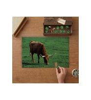 Kahverengi Uzun Boynuzlu İnek Tasarımı 240 parça Ahşap Puzzle Ahşap Kutuda MP05327