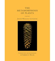 The Metamorphosis Of Plants