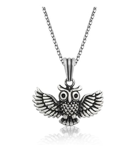 Hk Gümüş Erkek Kolye Baykuş Gümüş Takı Hediyelik Ürünler