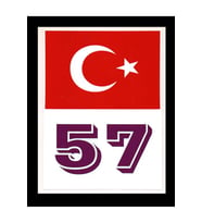 Türkiye Bayraklı Sinop 57 Plaka Kodu Ön Cam Sticker