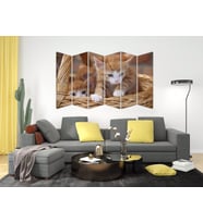 KEDİ MDF TABLO-2563 MODEL-B