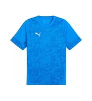 Puma Teamcup Traınıng Jersey Erkek Futbol Tişörtü 65916702 Mavi