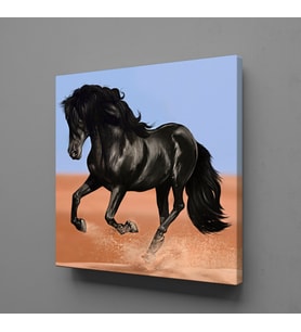 SİYAH AT KANVAS TABLO 170x170cm