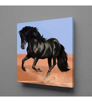 SİYAH AT KANVAS TABLO 170x170cm