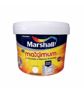 MAXİMUM SİLİKONLU İPEK MAT BW BAZ İÇ CEPHE BOYASI 2,5 LT