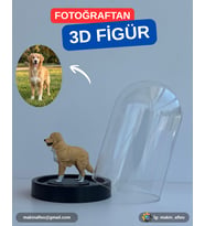 Fanus İçinde Kişiye Özel 3D Evcil Hayvan Figür (15cm)