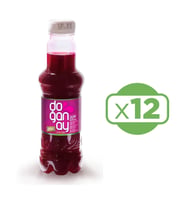 Doğanay Şalgam Suyu 300 ml Acısız x 12 Adet