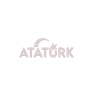 ATATÜRK YAZI 15cm PARLAK NİKEL ETİKET - STİCKER