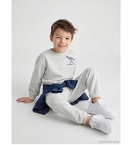 LCW Kids Gri Dinozor Baskılı Erkek Çocuk Sweatshirt Ve Eşofman Altı